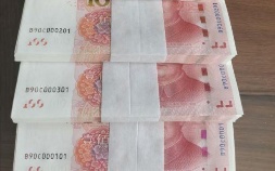 2005年版100元人民币收藏价值(2005年100元有收藏价值吗)