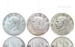 袁大头一元硬币收藏价值分析(袁大头一分钱硬币的价值)