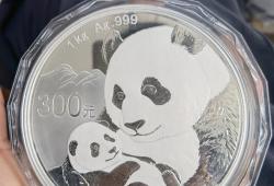 熊猫银币是纯银做的吗