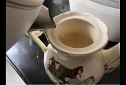 茶壶里的茶叶怎么取出来(建陶茶壶怎么养水)